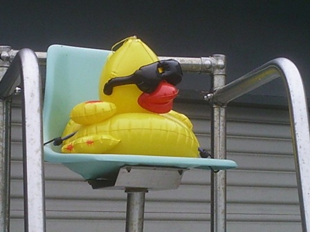 DUCK LIFEGUARD